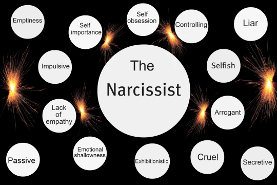 Image result for cartoons narcisstic personality disorder npd